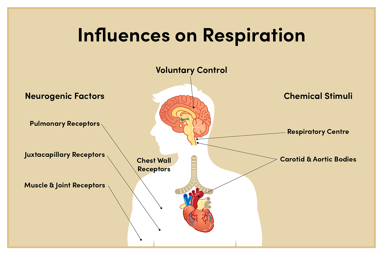 Breathing pattern disorder_influences on respiration