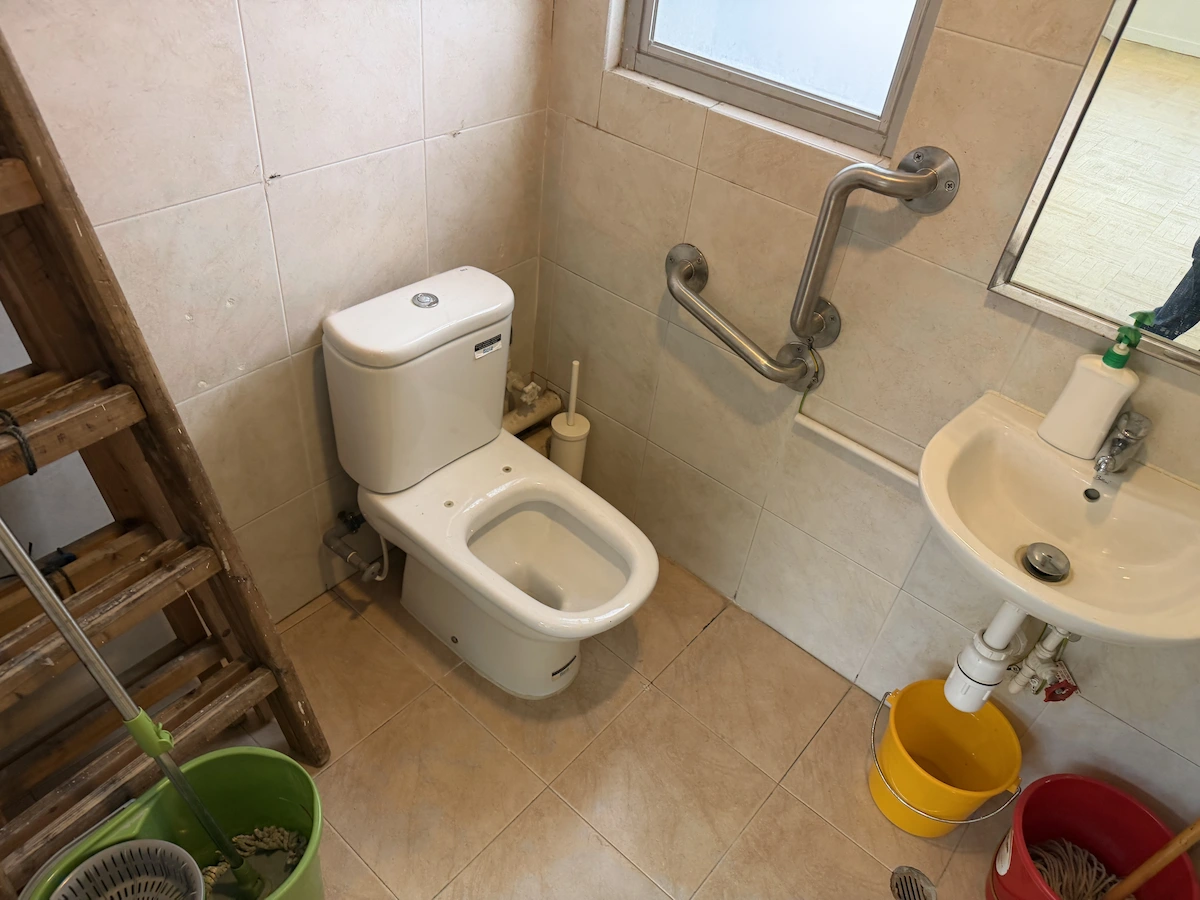 Accessible bathroom in Central featuring a toilet, grab bars, small sink, and nearby cleaning supplies.
