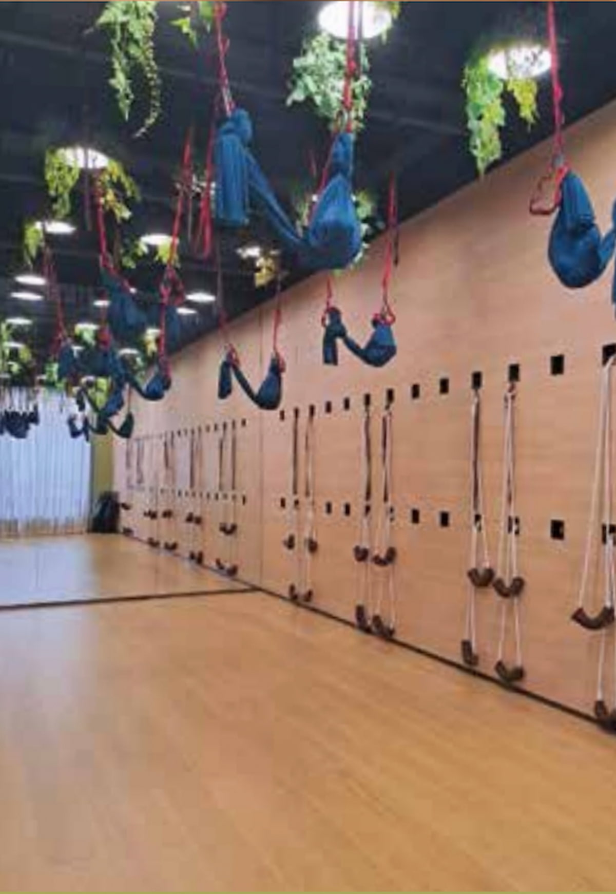 Yoga studio near Jordan MTR with wooden floors, yoga slings, and wall ropes.