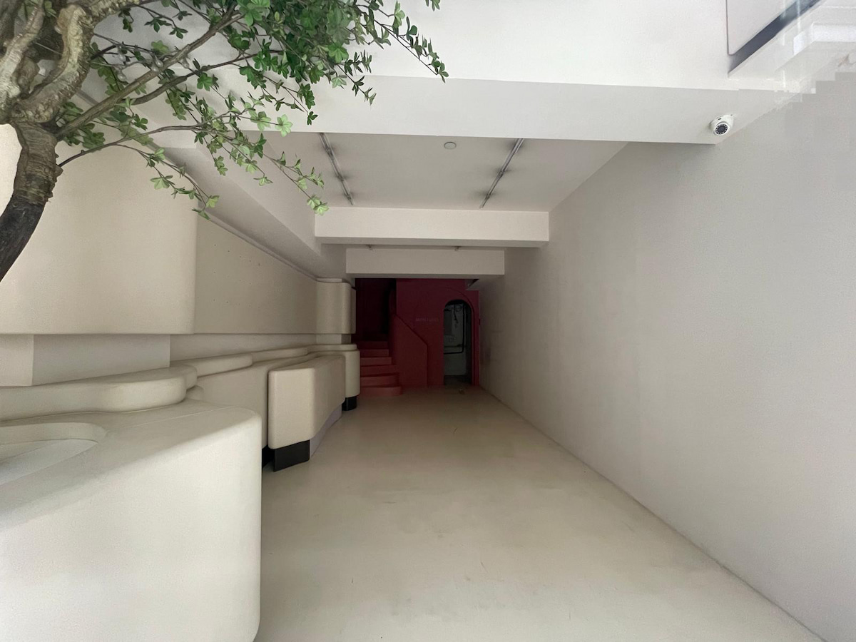 Minimalist hallway on Wellington Street, Central with white walls, a tree on the left, and pink stairs at the end.