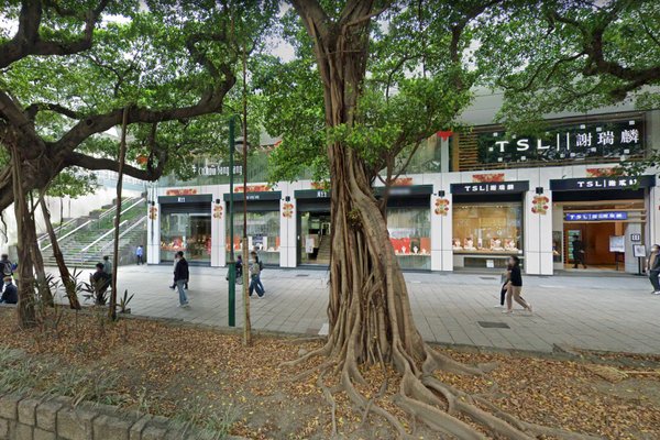 尖沙咀彌敦道舖位。尖沙咀彌敦道一棵樹根外露的大樹,行人於行人路上經過一間珠寶店。