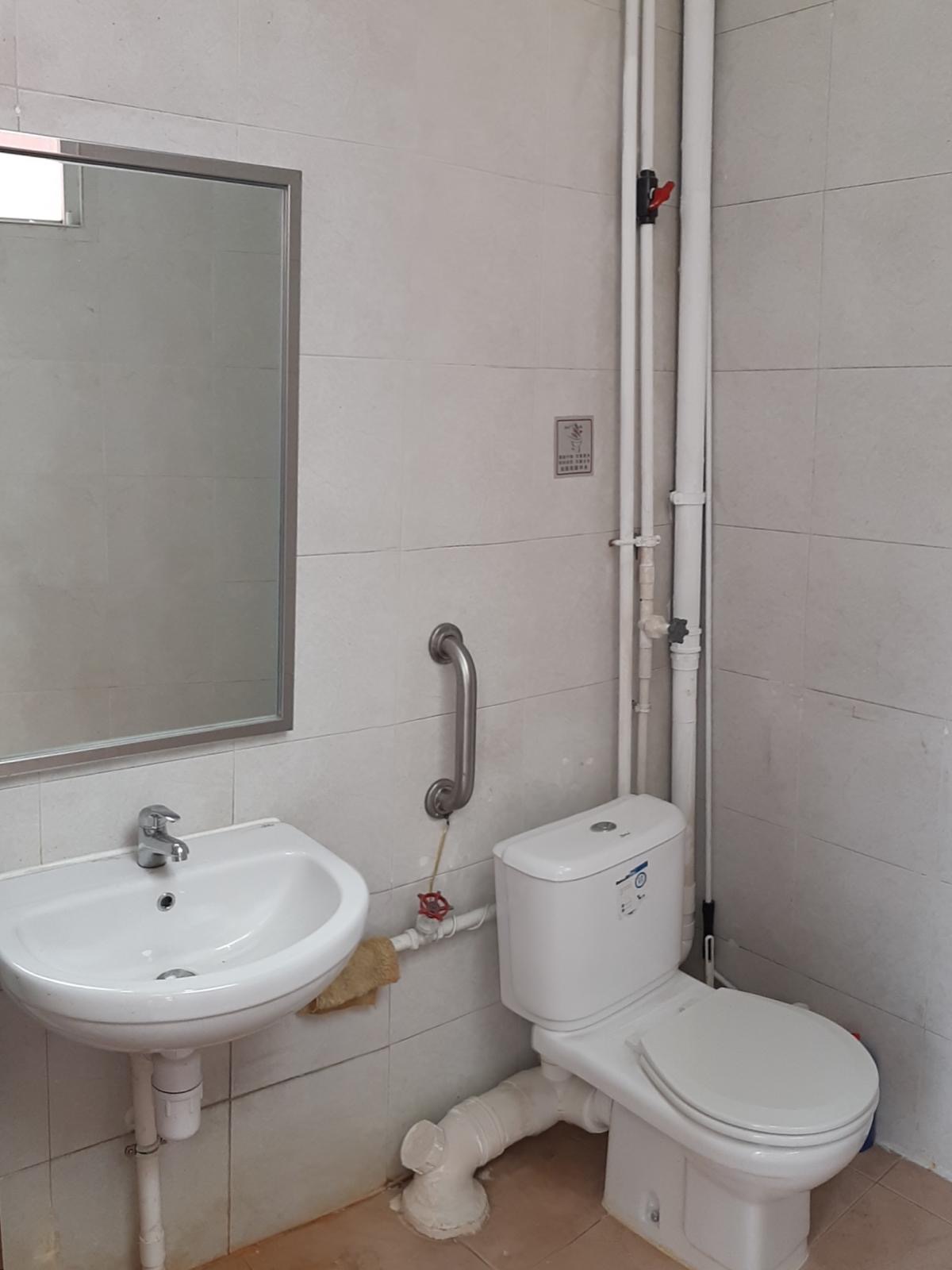 White sink and toilet in tiled Central bathroom with mirror, grab bar, and exposed plumbing pipes on the wall.