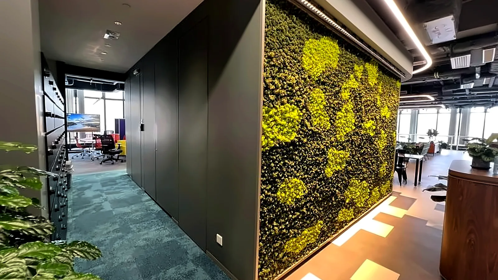 Office green wall at Tower 535, Causeway Bay