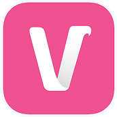 Vsure logo