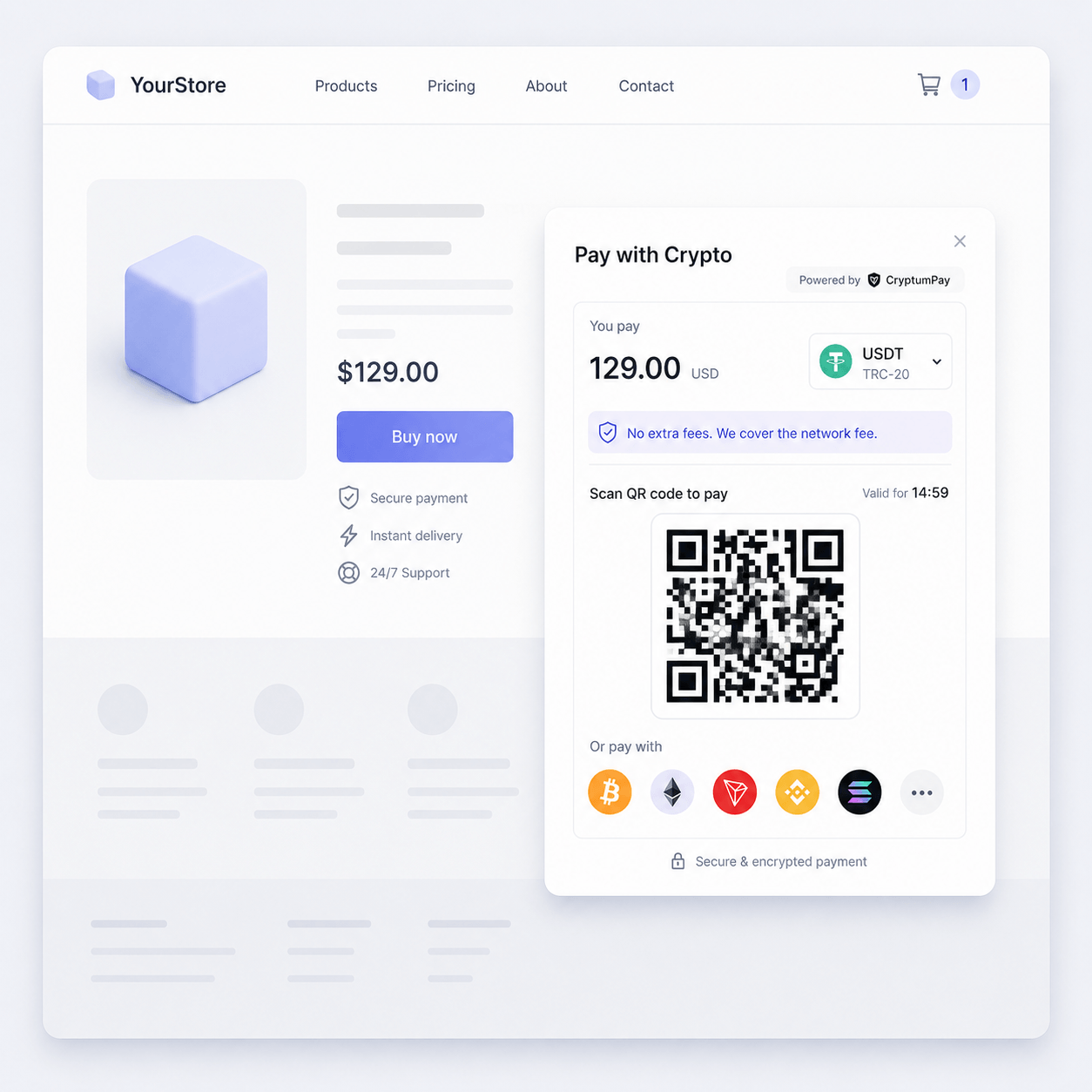 HTML widget for crypto payments shown next to API, plugin, and payment link options