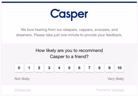 Casper NPS Main Question