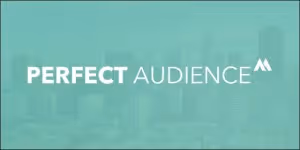 Perfect Audience