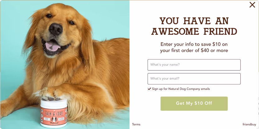 referral dog