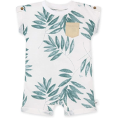 Short Sleeve Romper - 4.8-star rating on Amazon