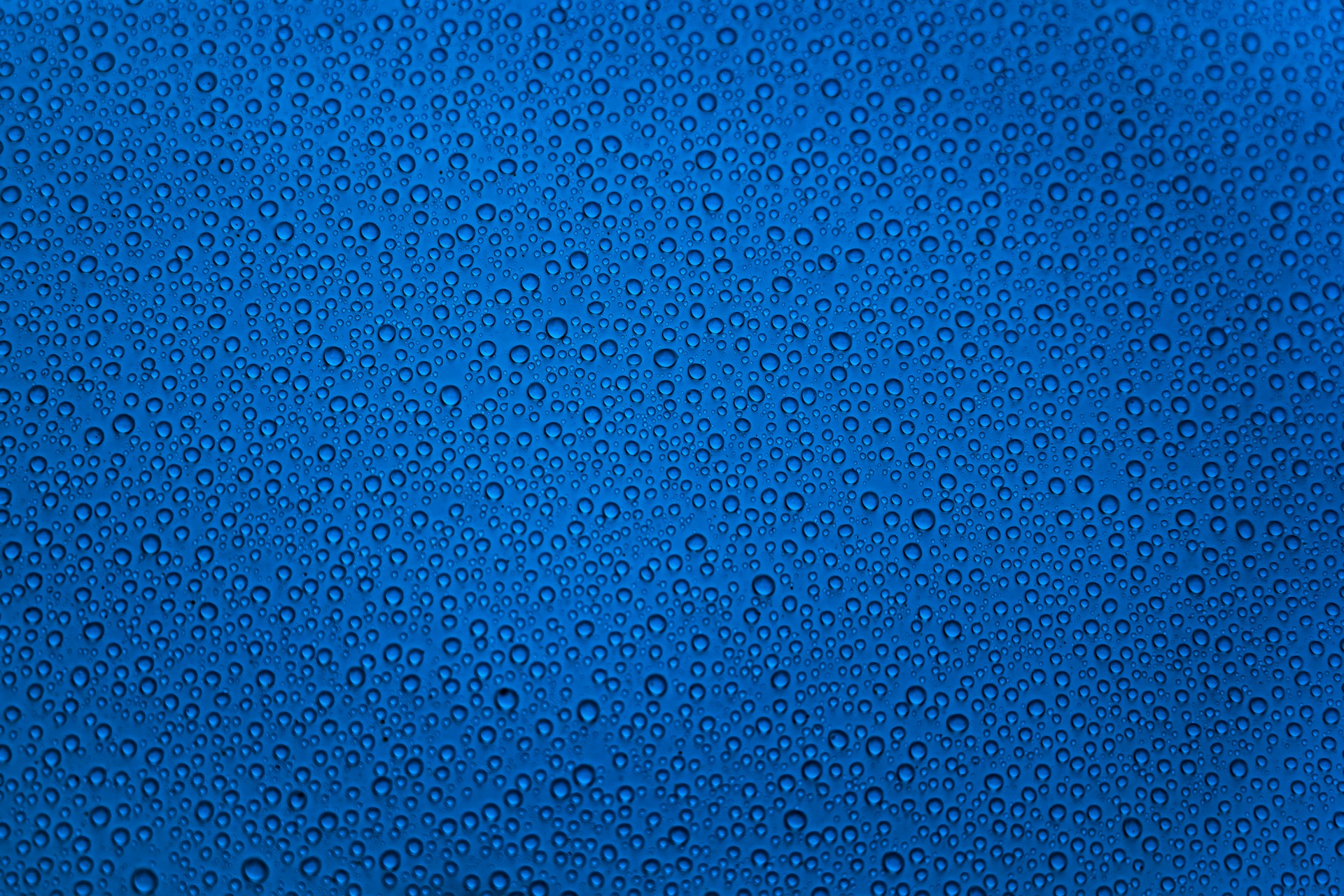 Close-up of numerous water droplets on a blue surface.