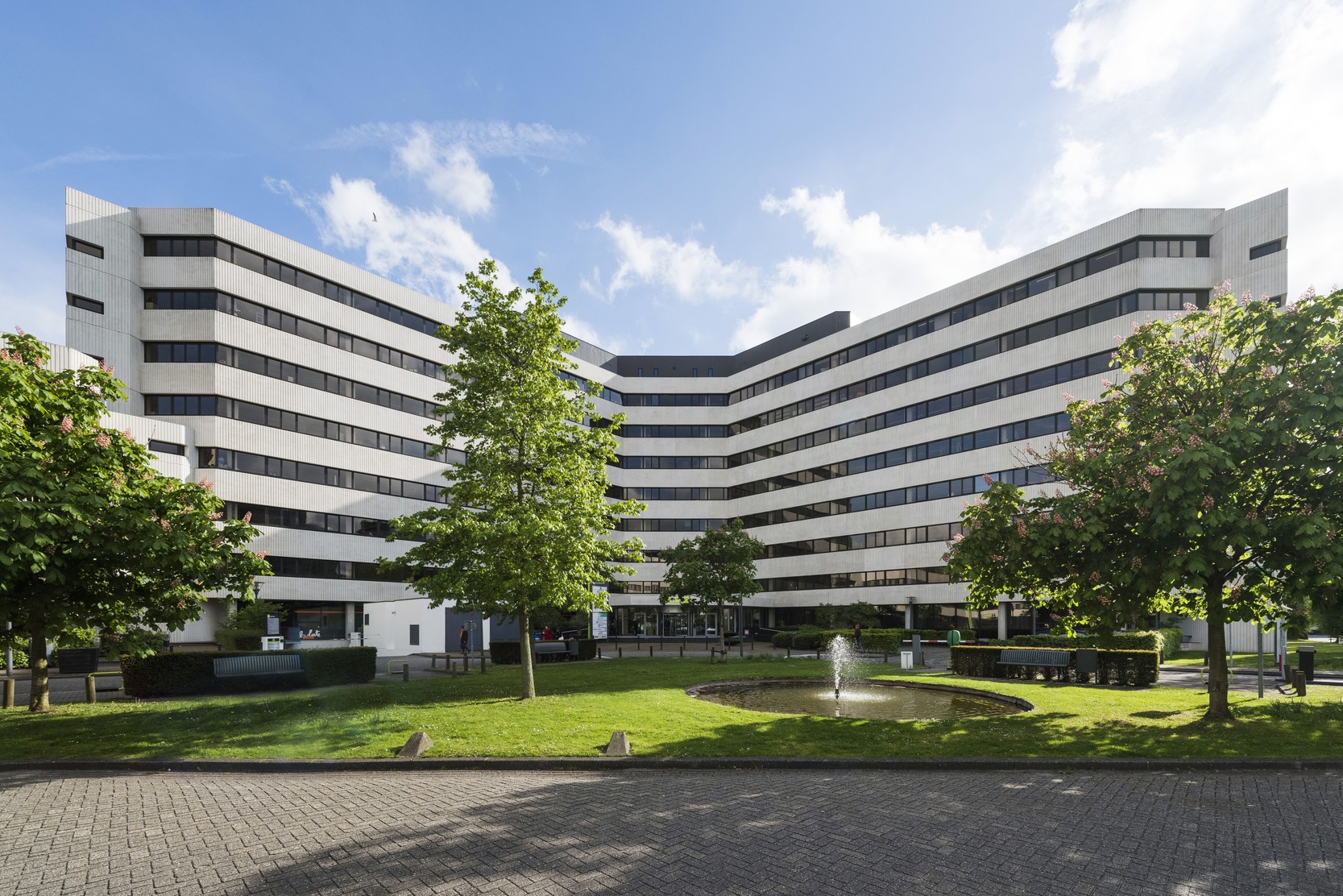 Brand New Day commits to Atlas Arena Amsterdam for the long term