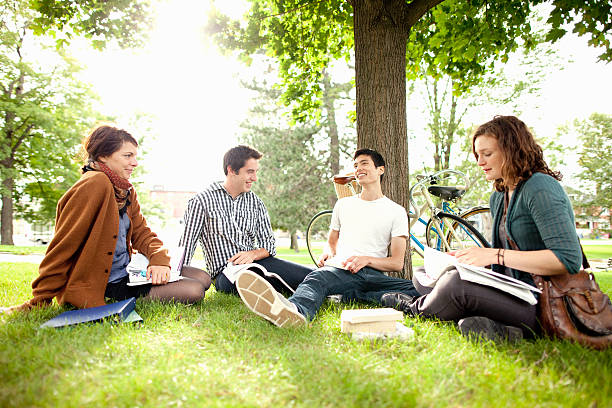 Sitting in the grass stock image