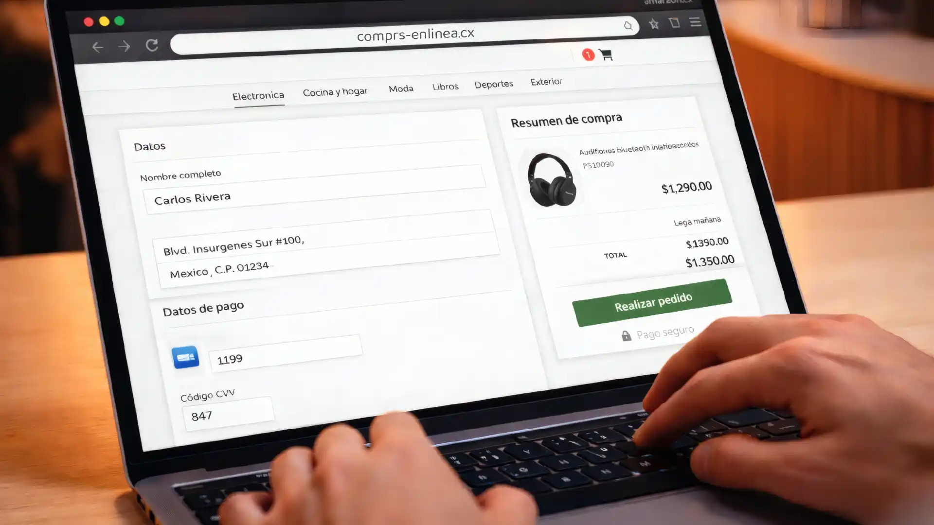 Imagen de página falsa en internet.