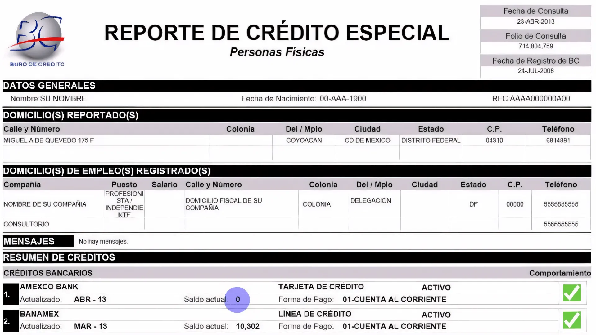 Imagen del reporte de crédito especial