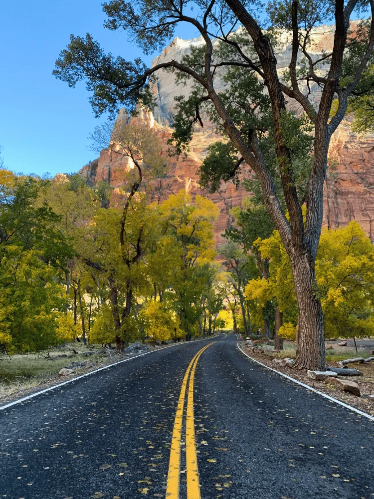 route au milieu de la montagne