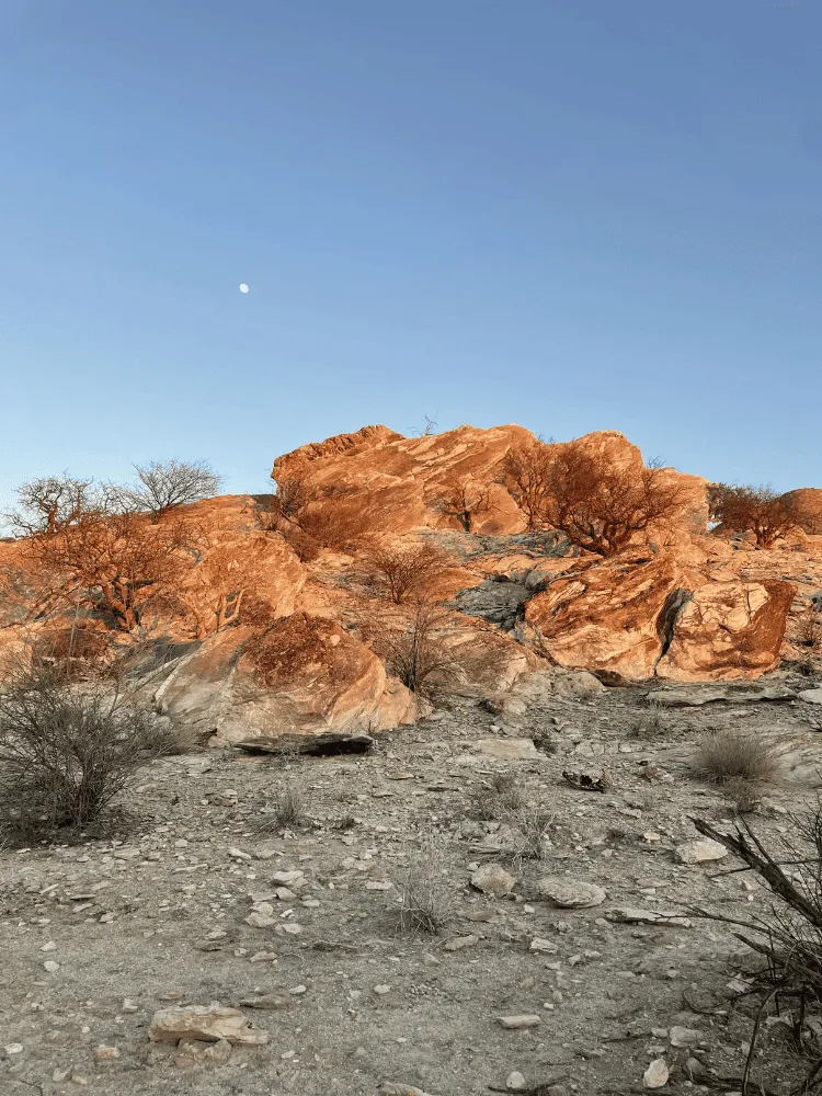 paysage désertique avec de la roche