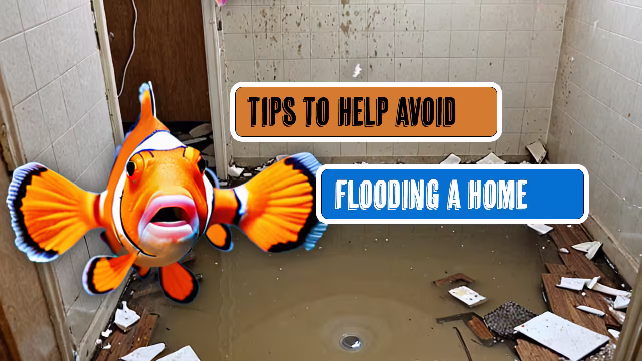Water Damage: The Silent Bathroom Wrecker