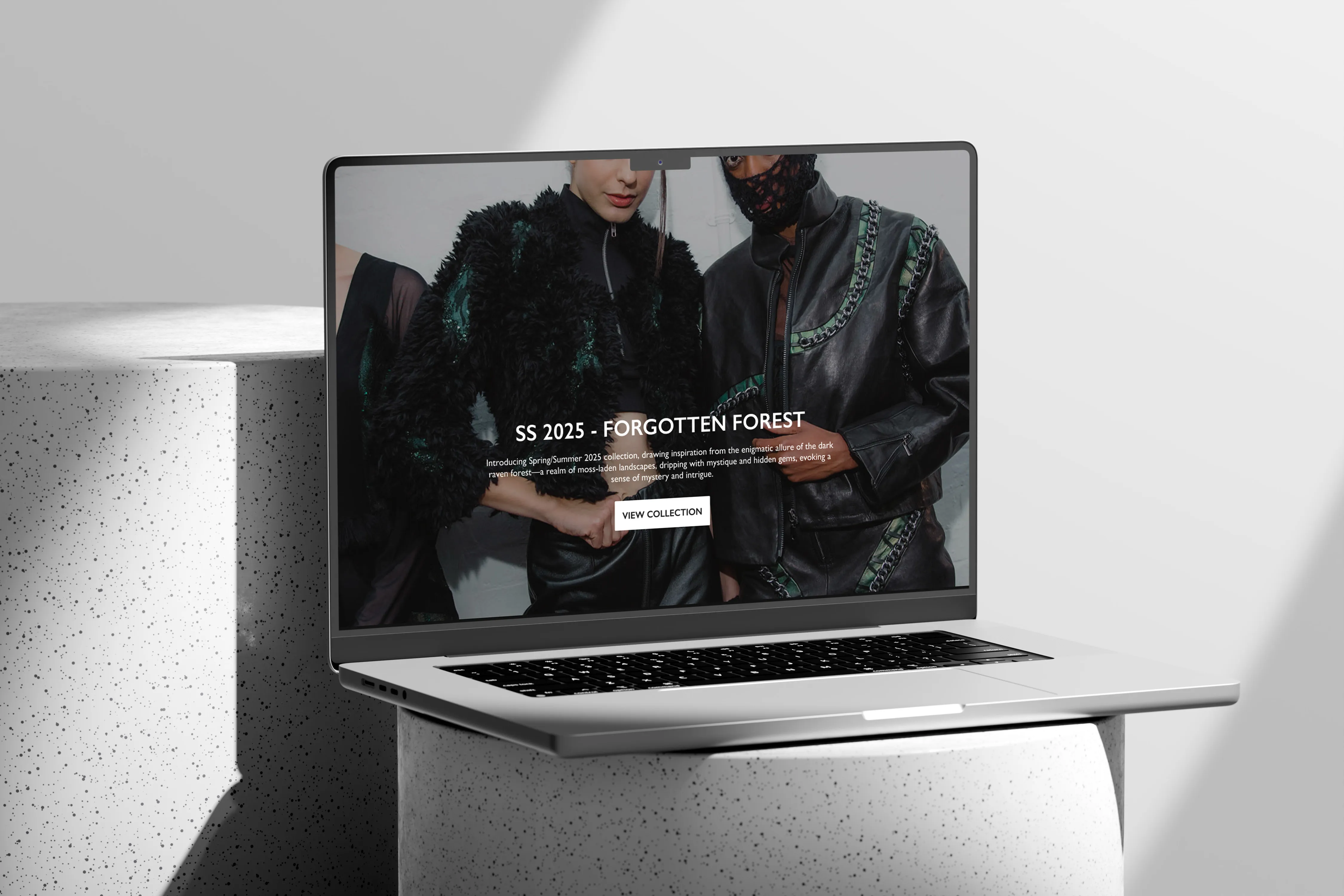 Tara Kari website designed by Chapter Two Studios