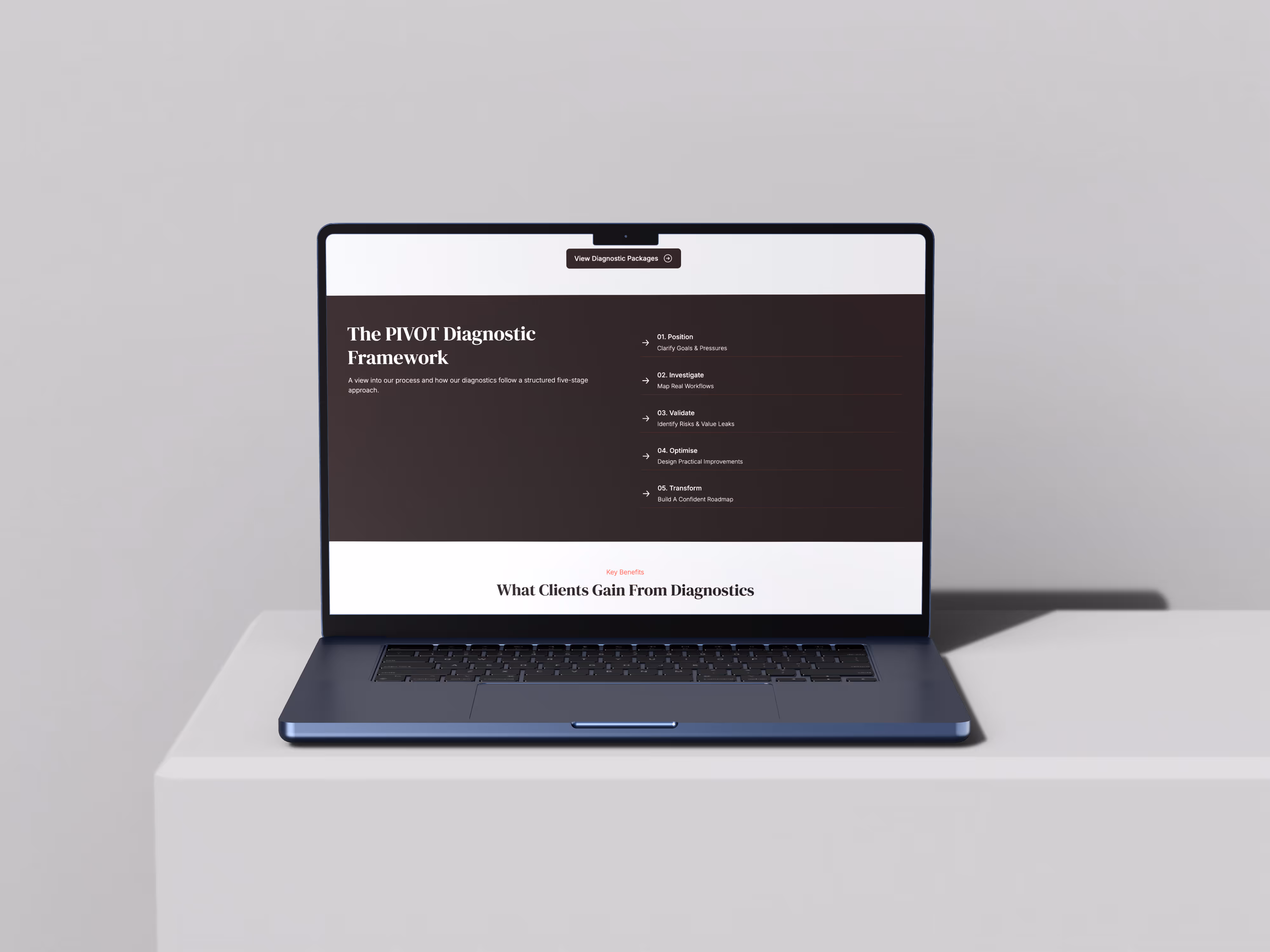 Vector pivot co website designed by Chapter Two Studios