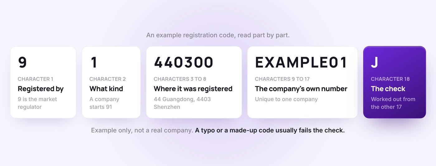 The parts of an 18-character Chinese registration code, shown on the example 91440300EXAMPLE01J: 9 for the market regulator, 1 for the type of organisation, 440300 for where it was registered (Shenzhen), nine characters that identify the company, and a final check character
