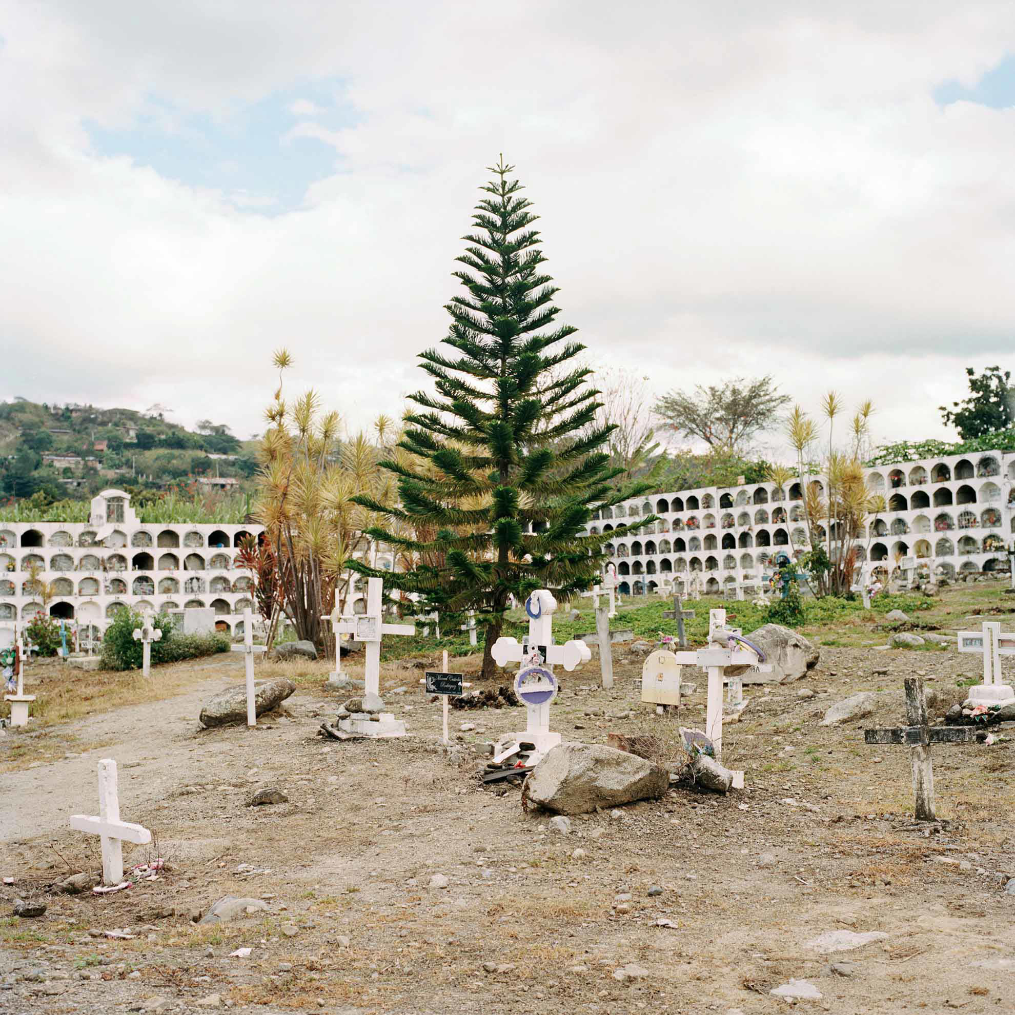 Yo lo miro desde lejos (I look at you from afar)