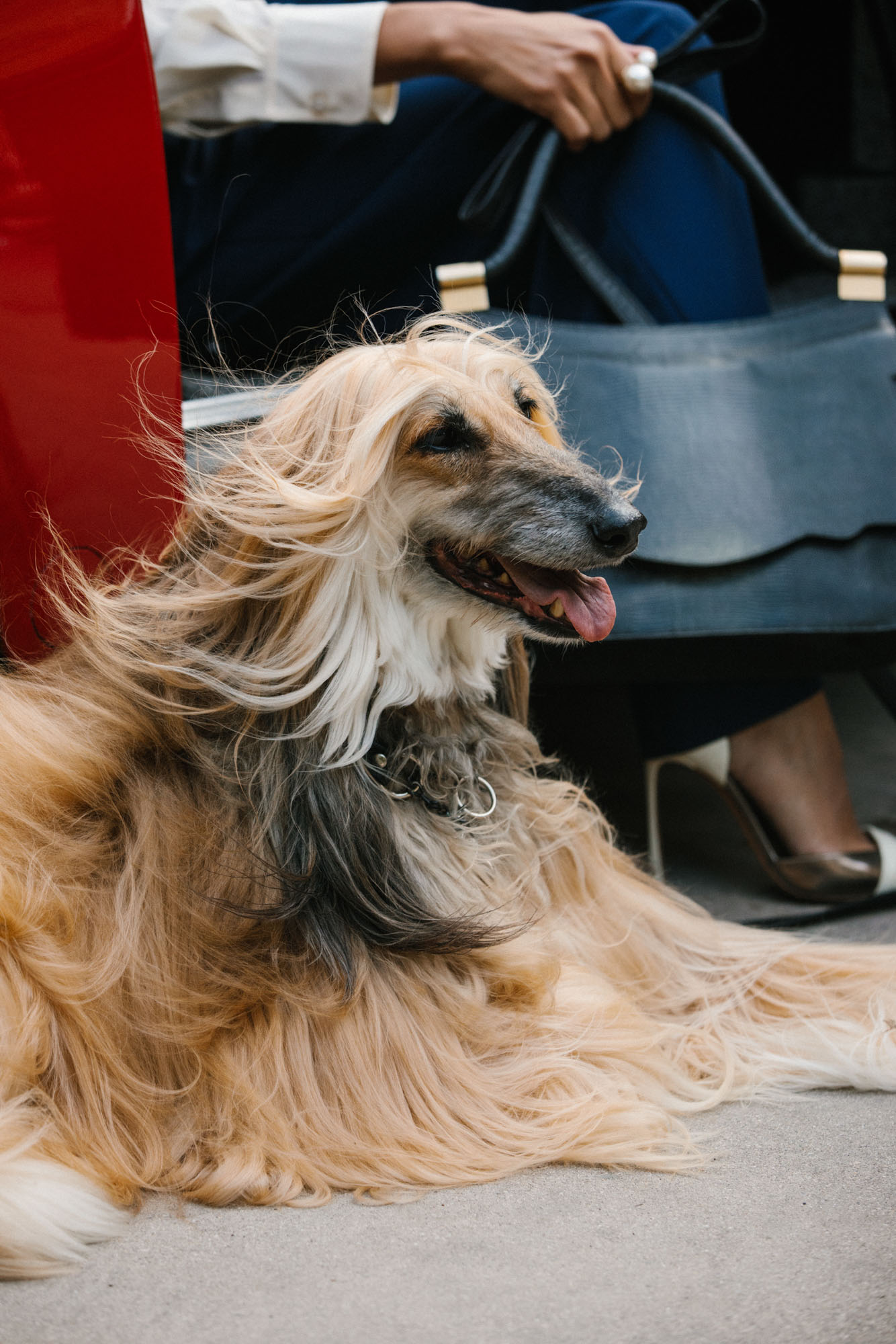 Pendry Hotels - Watson & Co