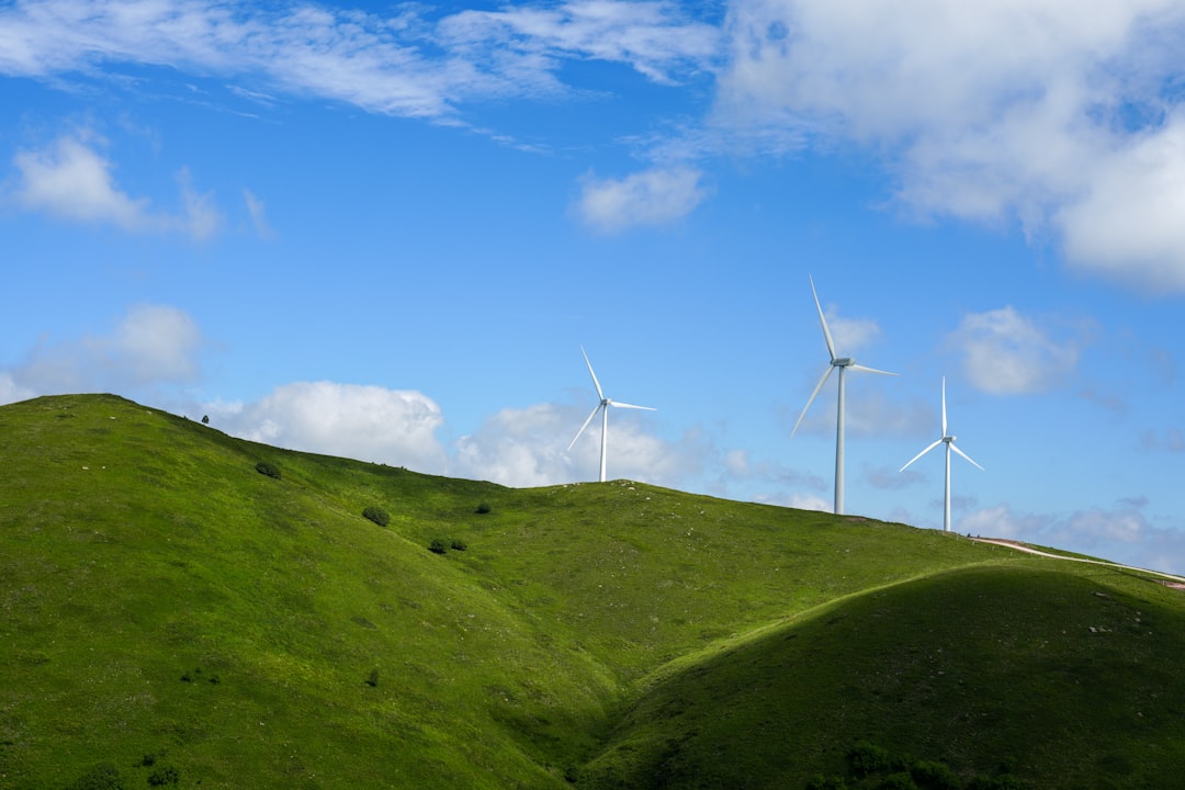 Eco-Friendly CSR: A Deep Dive into Environmental Initiatives