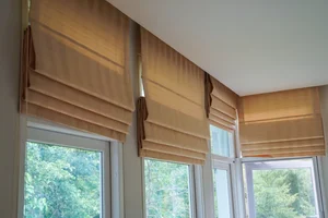 Window treatments and Roman shades
