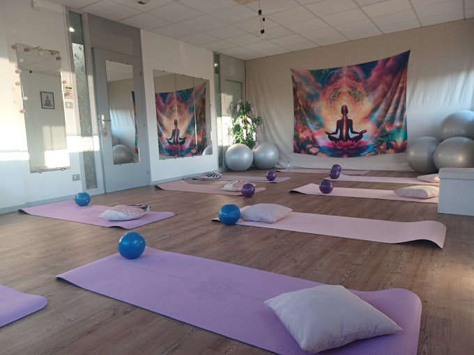 Mind Soul Body Fit logo