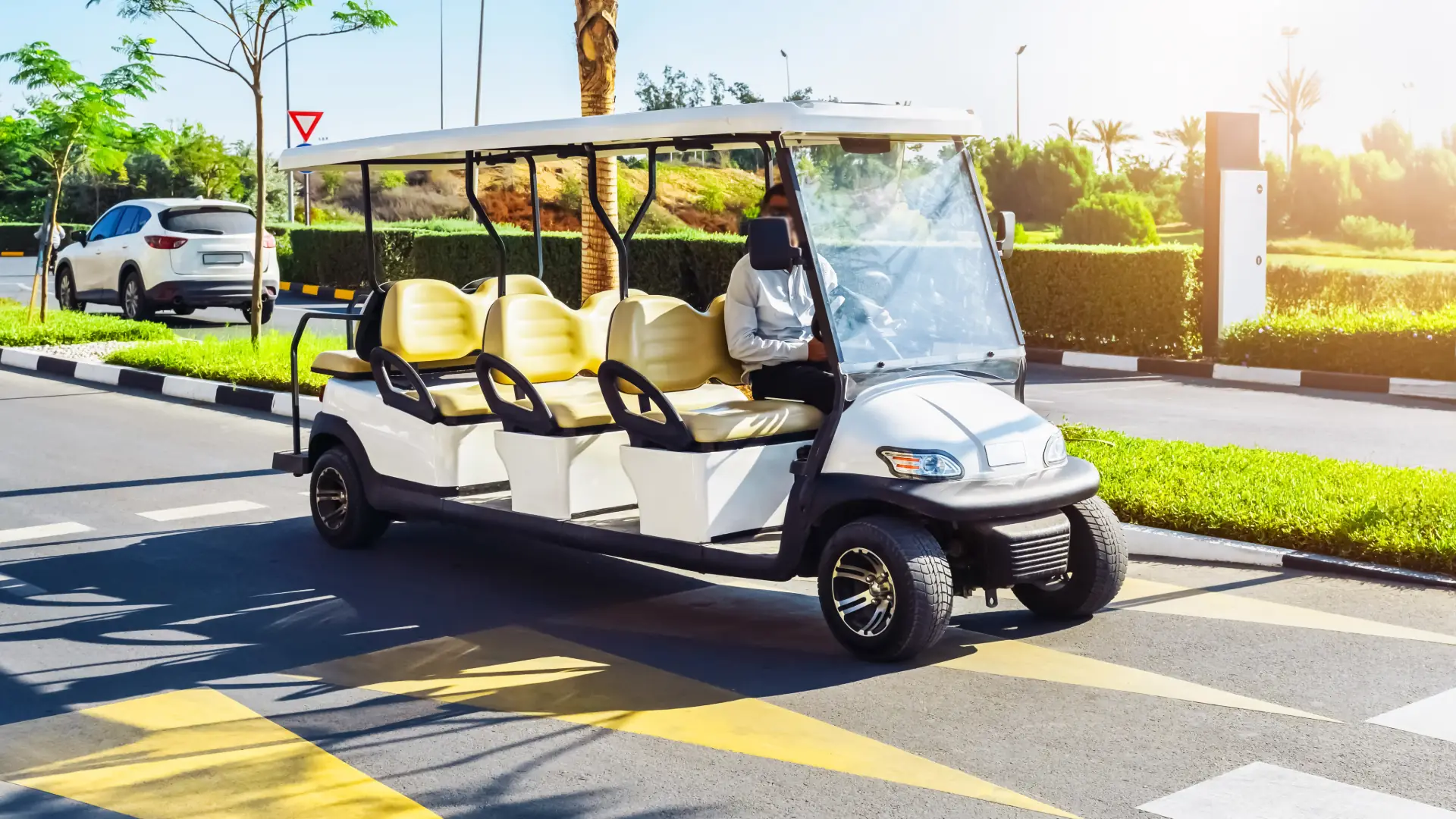 Golf cart on a sunny palm-lined road