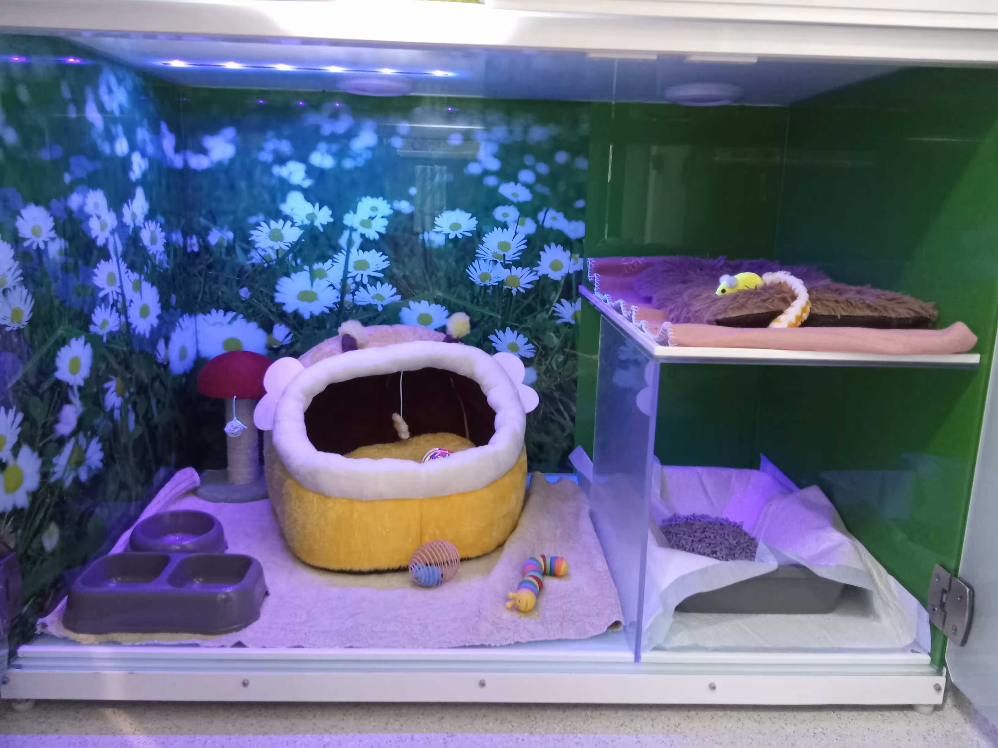 Field of Daisies Cat Condo