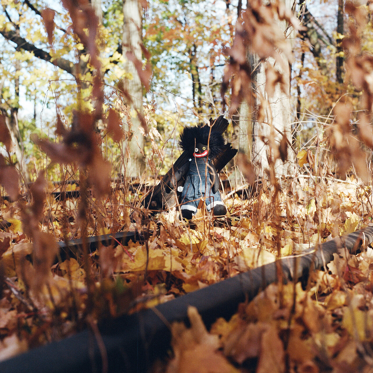 GOLLIWOG billy woods backwoodz