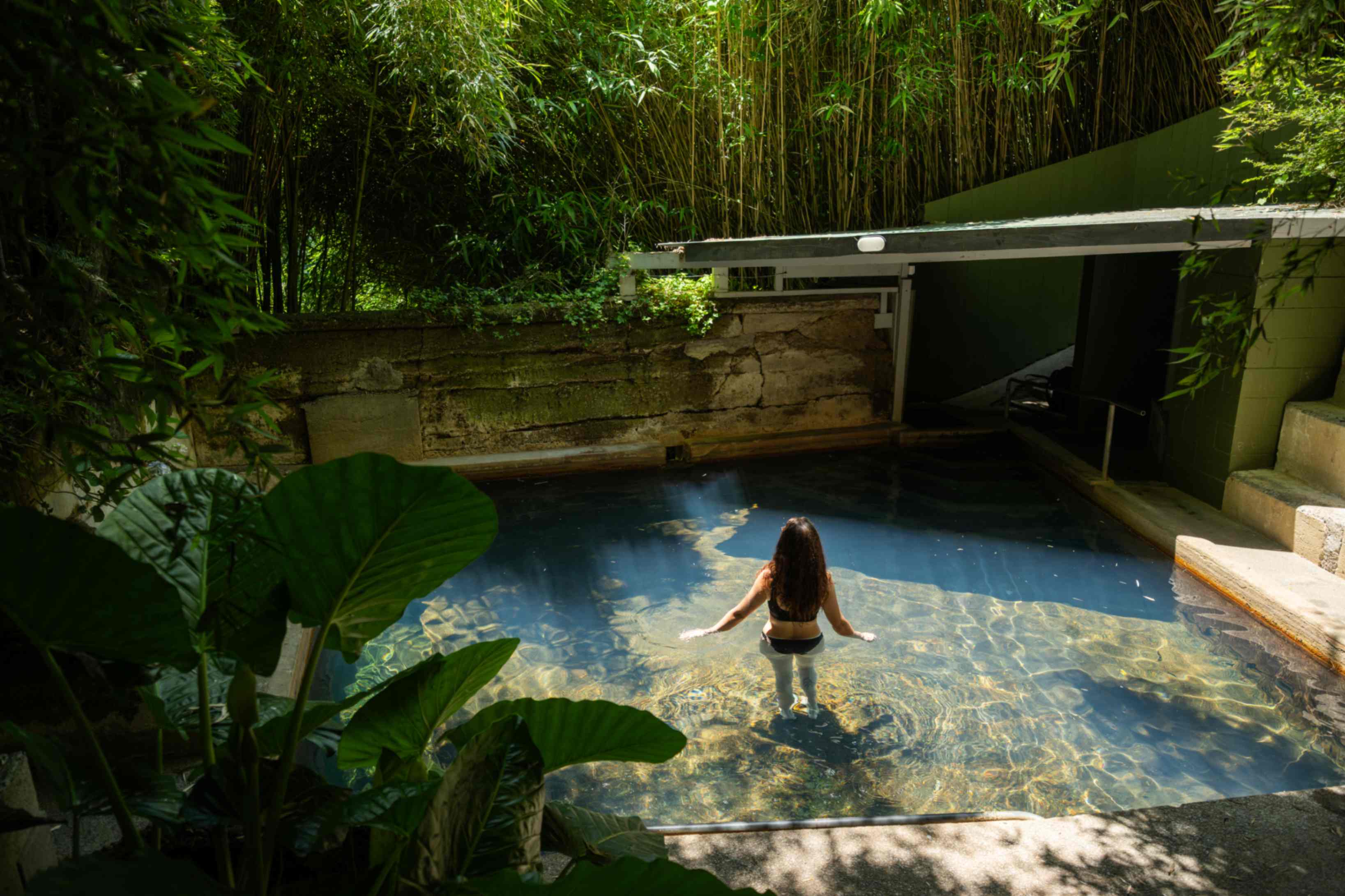 Aerial view of a serene, secluded pool surrounded by lush, vibrant green foliage with a hint of smoke rising from the water.