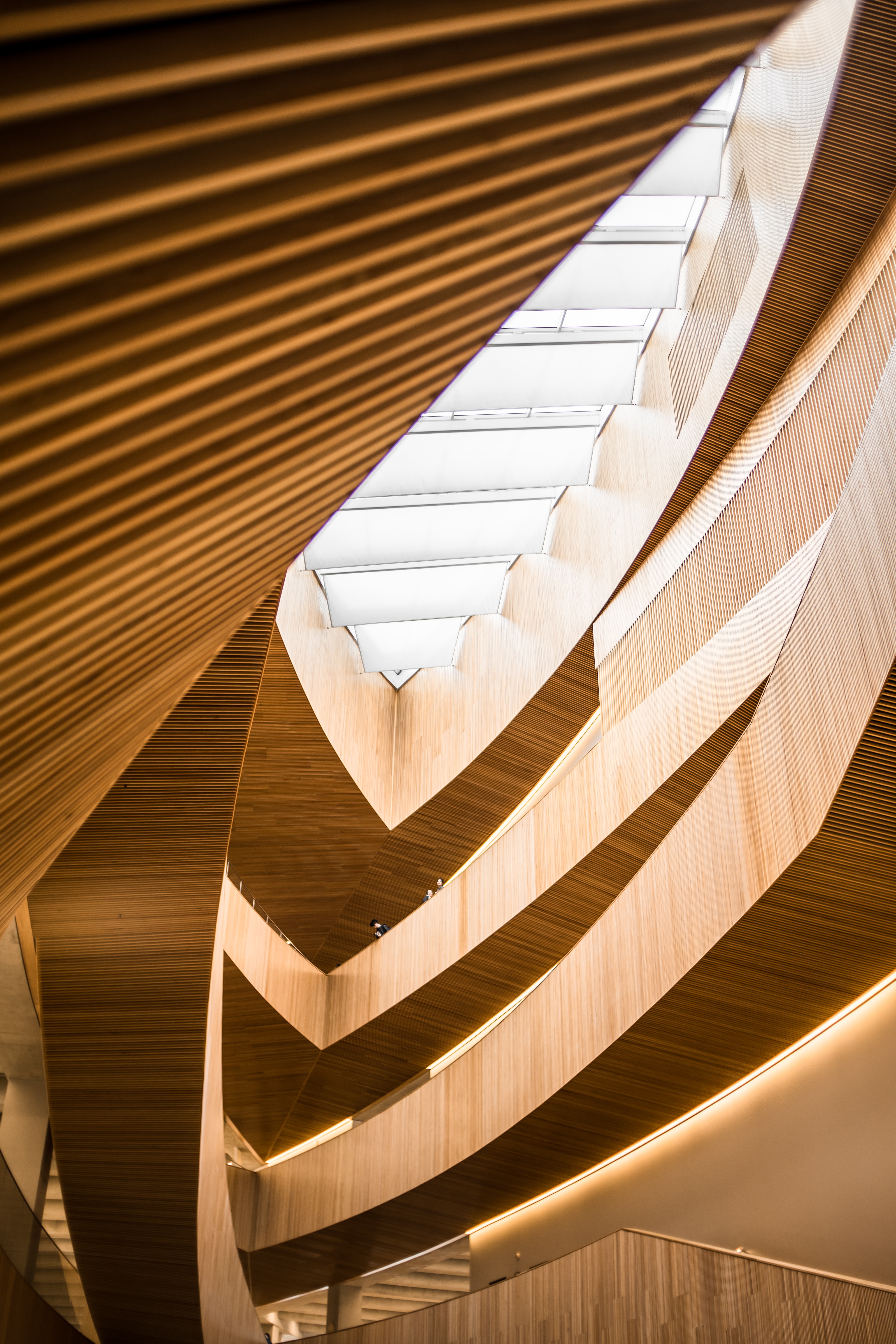 Interior view of a modern architectural structure with curved wooden panels, skylight, and layered walkways
