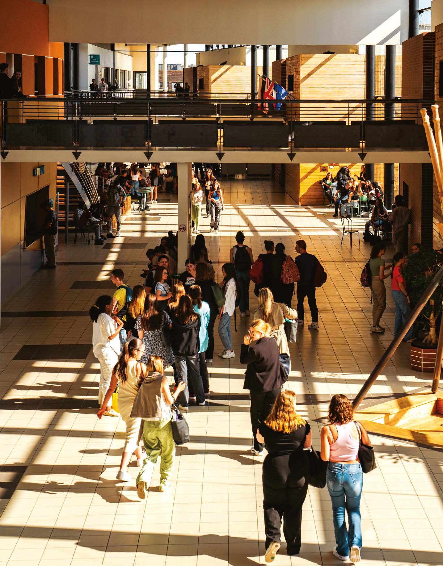 De l’école à l’emploi, restons connectés ! 