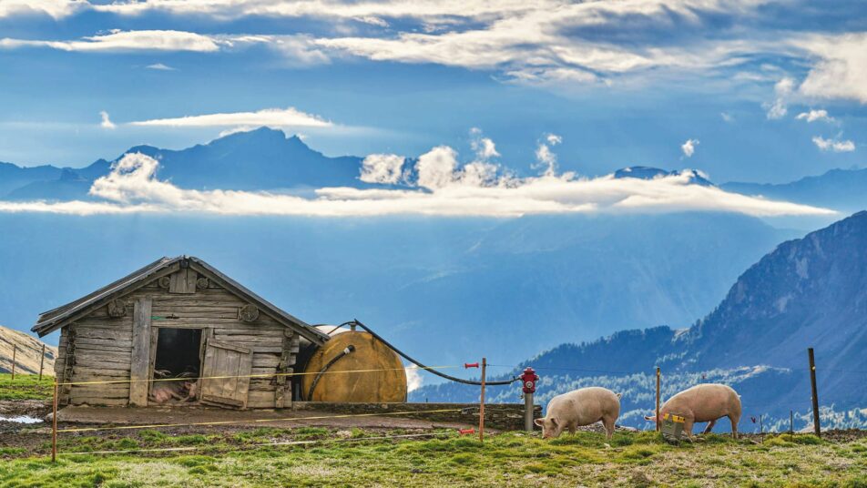 Total wurden von der Schweizer Berghilfe 800’000 Franken in die beiden Appenzeller Kantone überwiesen.