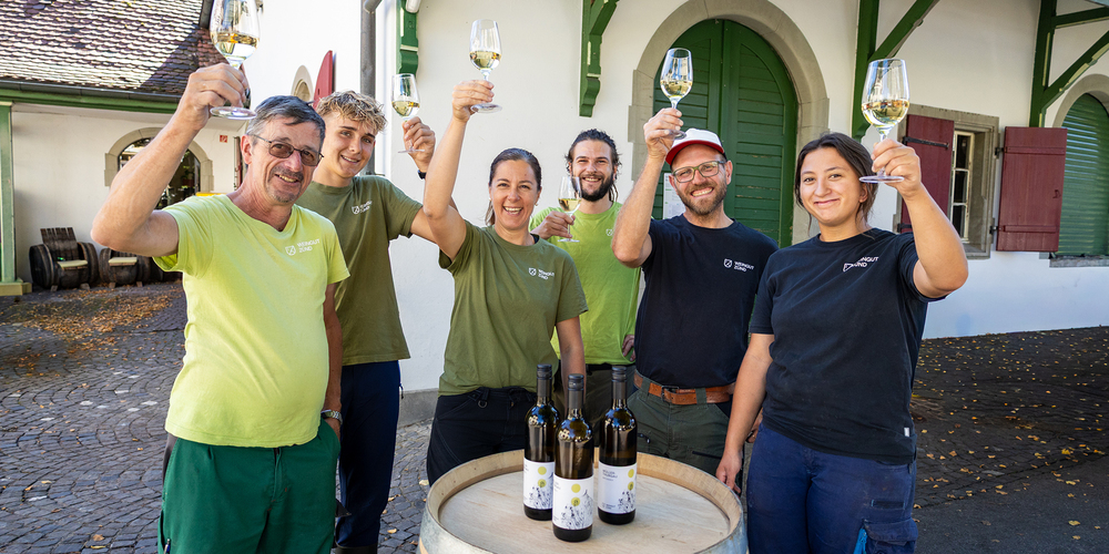 Das Team des Weingutes Zünd in Altstätten freut sich über Gold für seinen Müller-Thurgau. 230814_EgqrvXeW
