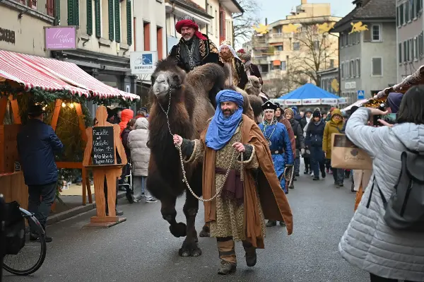 Bald ziehen wieder Kamele durch die Frauenfelder Altstadt. (Bild: Ralph Ribi) Bald ziehen wieder Kamele durch die Frauenfelder Altstadt. (Bild: Ralph Ribi)