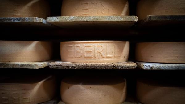 Verschiedene Käsesorten aus Muolen und Hagenwil haben Weltklasse-Niveau. Das hat eine internationale Jury so beurteilt. (Bild: Benjamin Manser) Verschiedene Käsesorten aus Muolen und Hagenwil haben Weltklasse-Niveau. Das hat eine internationale Jury so beurteilt. (Bild: Benjamin Manser)