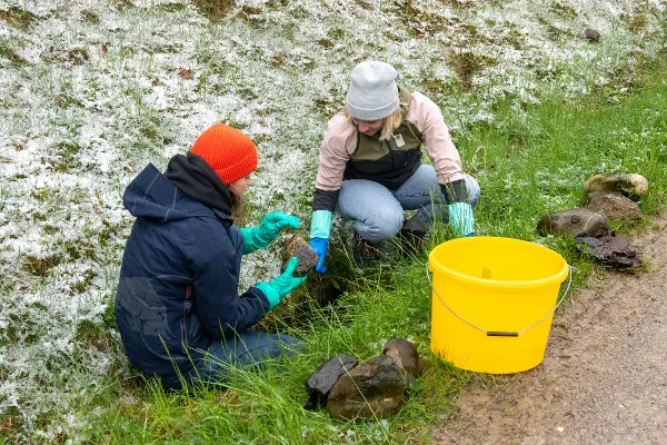 Schneebedeckte Wiese statt Bürostuhl: TKB-Mitarbeitende zeigen vollen Einsatz für die Gelbbauch-Unken in deren Laichgebiet bei Fischingen.
