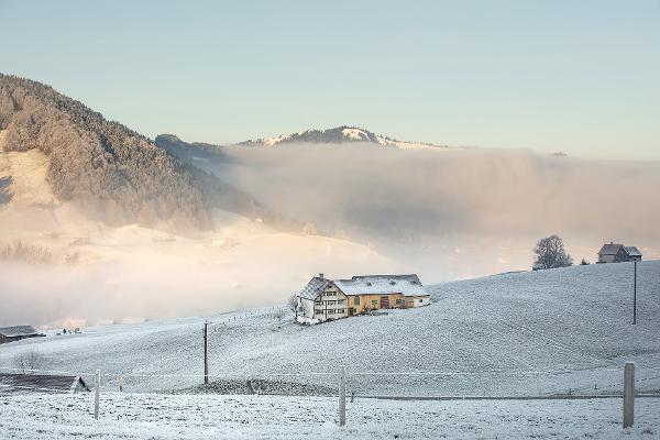 Seit Anfang Jahr wird das Appenzellerland touristisch aus einer Hand vermarktet. Einen ersten Anlauf dazu gab es bereits nach der Jahrhundertwende.
