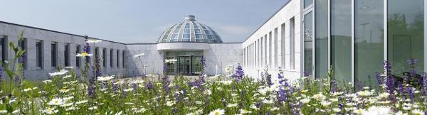 Das Weiterbildungszentrum (WBZ) Holzweid an der Holzstrasse 15 in St.Gallen. Das Weiterbildungszentrum (WBZ) Holzweid an der Holzstrasse 15 in St.Gallen.