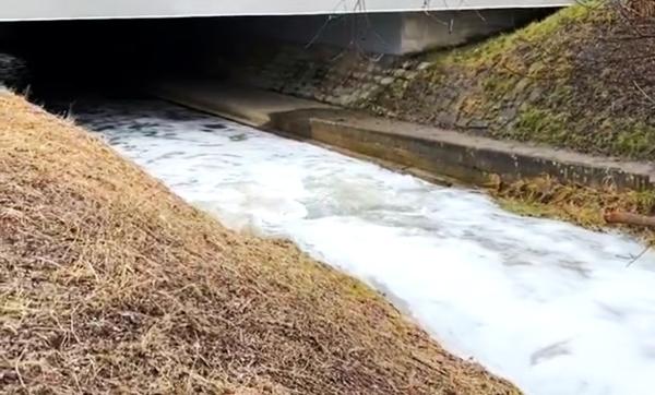 Tenside in Thal, wo sie nicht hingehören, im Steinlibach. Tenside in Thal, wo sie nicht hingehören, im Steinlibach.