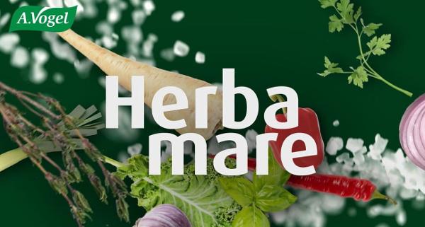 Auch die Kampagnenmusik wurde eigens von Silverspot komponiert und produziert.