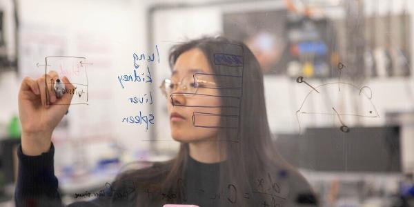 Die St.Galler Empa-Forscherin Jimeng Wu entwickelte eine KI-gestützte virtuelle Maus, die berechnet, wie sich Nanopartikel im Körper verteilen. Die St.Galler Empa-Forscherin Jimeng Wu entwickelte eine KI-gestützte virtuelle Maus, die berechnet, wie sich Nanopartikel im Körper verteilen.