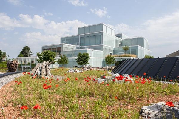 Beim Ranking der Hochschulen nach Anzahl der Startups mit mehr als 50 Beschäftigten belegt die HSG Platz 2 in der gesamten DACH-Region.