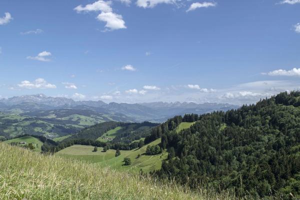 Der geplante Standort des Windparks bei Wattwil.