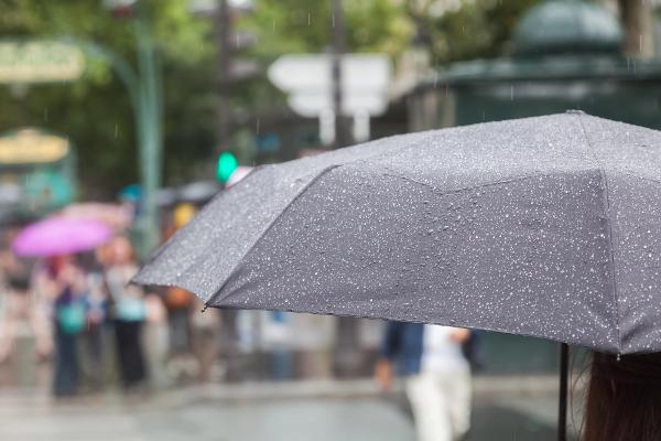 Nach einer langen Trockenperiode ist am Montag merklich Regen gefallen. Nach einer langen Trockenperiode ist am Montag merklich Regen gefallen.