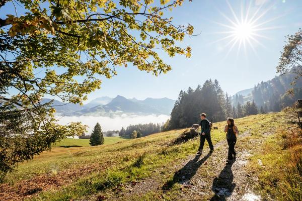 Bald lädt die Region Toggenburg wieder zu Herbstwanderungen ein. (Bild Toggenburg Tourismus)