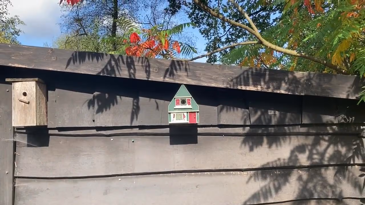Schuur met vogelhuisjes onder herfstbladeren op De Reeborghesch